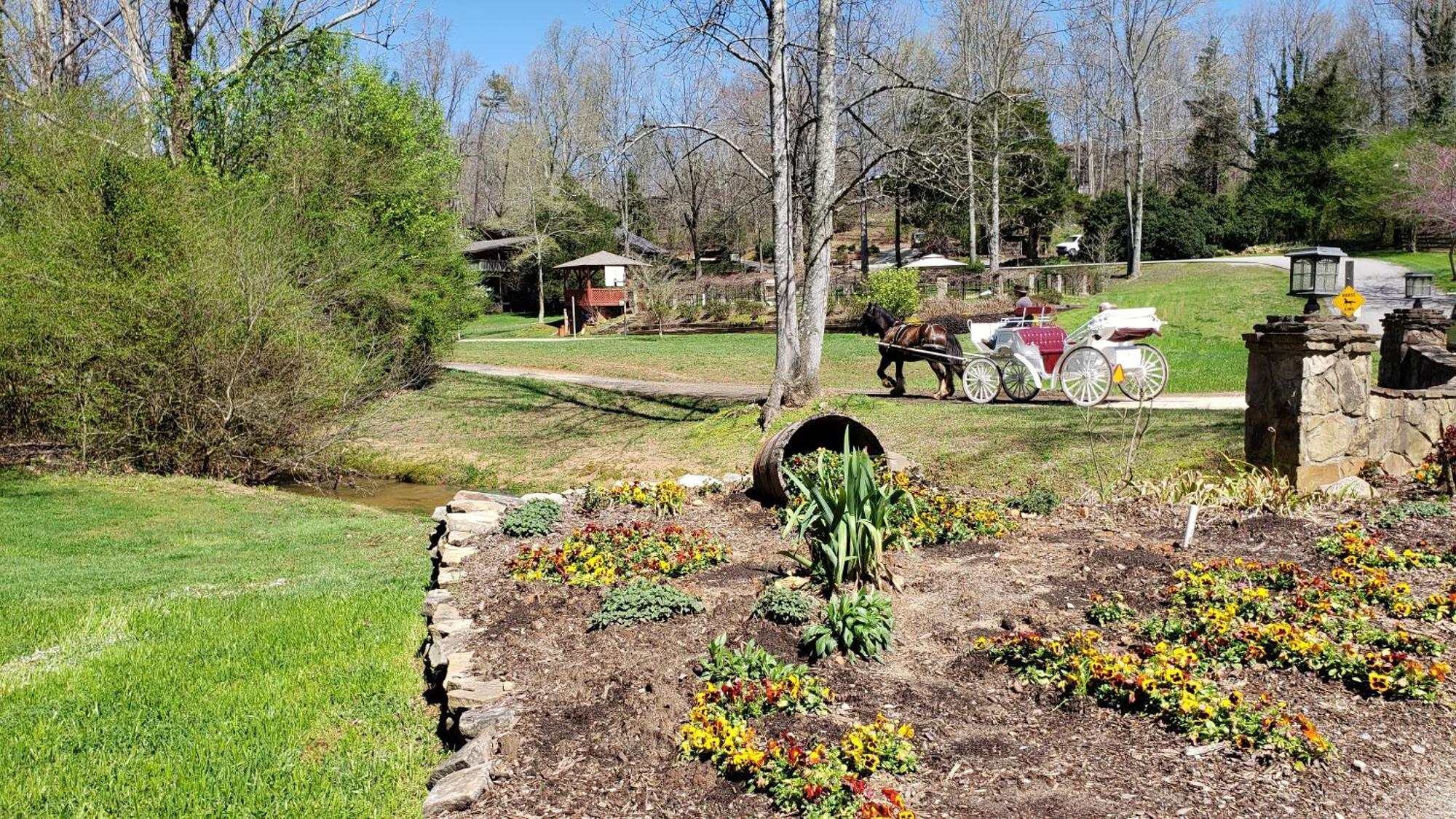 Forrest Hills Mountain Resort Dahlonega Eksteriør billede
