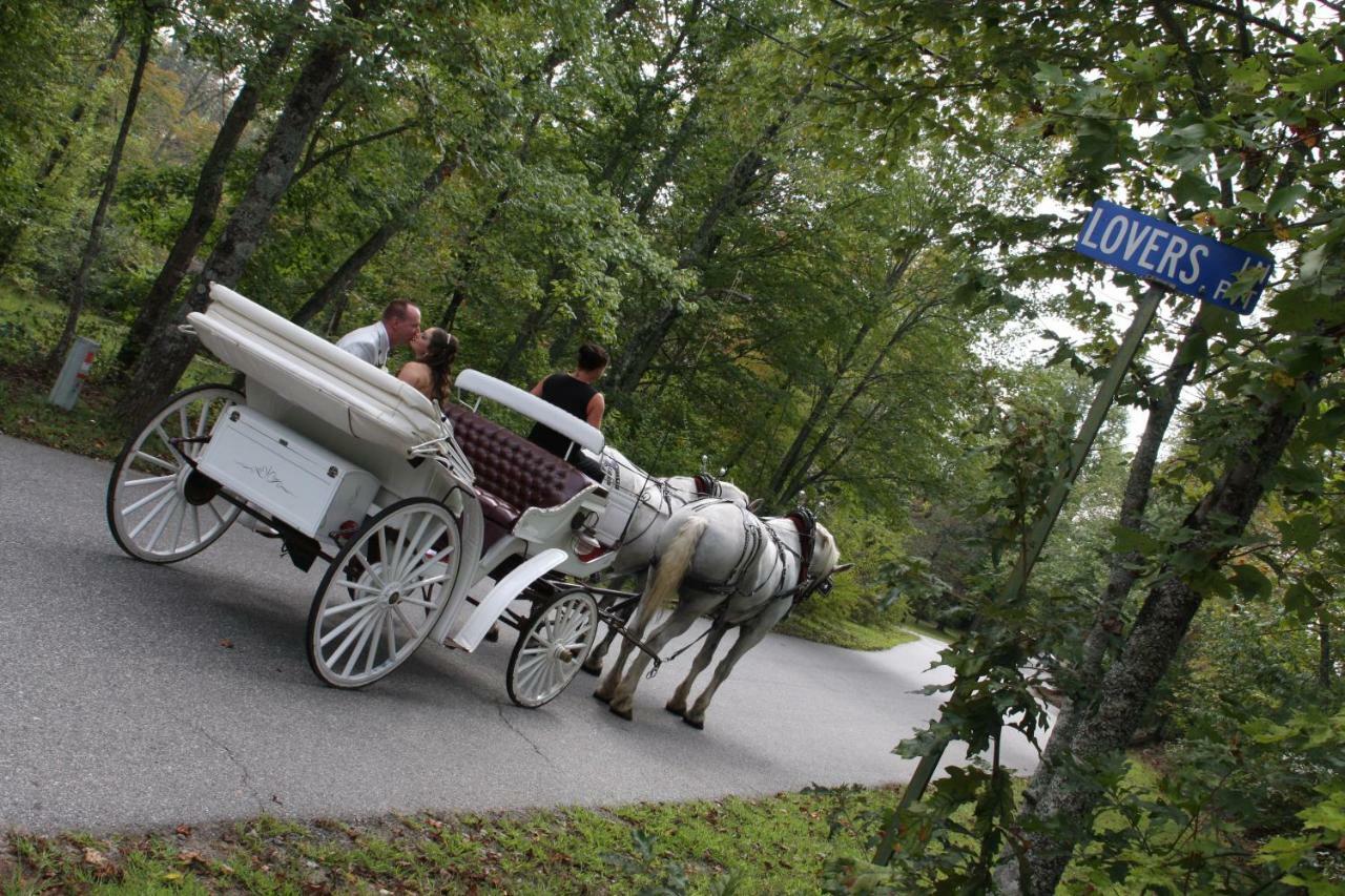 Forrest Hills Mountain Resort Dahlonega Eksteriør billede